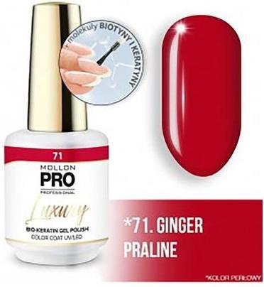 Immagine prodotto Mollon Pro Luxury Semi-Permanent Nail Polish N°71 - 8ML (N°71)