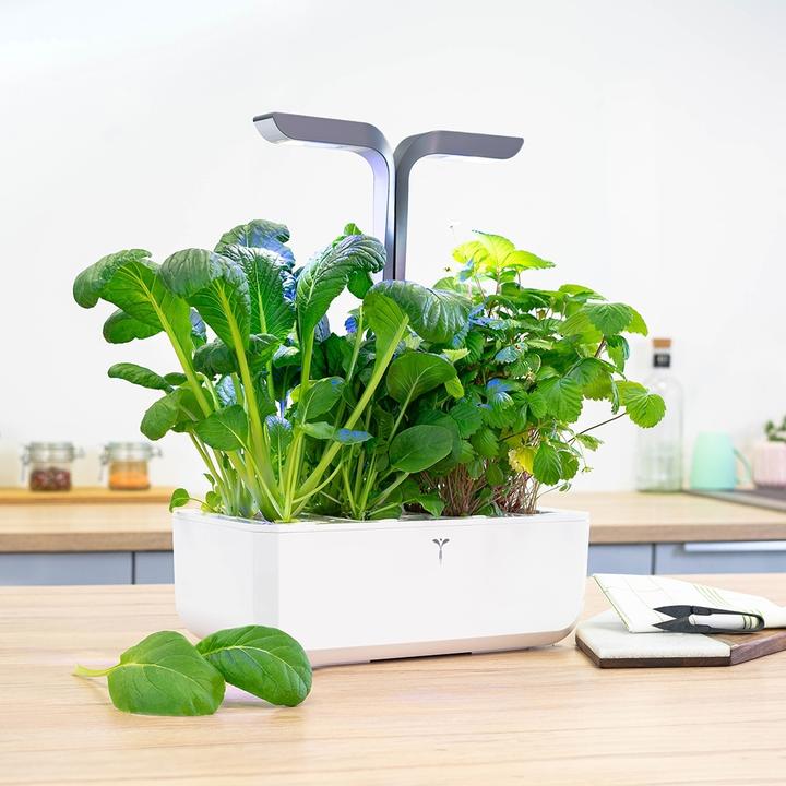 Image du produit Véritable Connect Indoor Garden (18 cm)