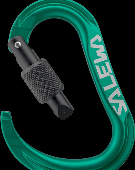 Actual product image Salewa Ortles Hms M Carabiner