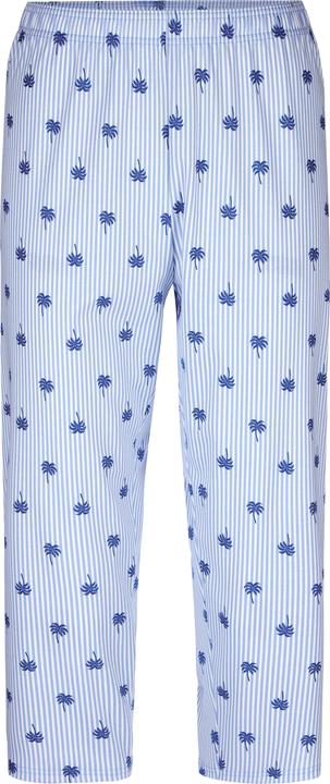 Actual product image Calida Favourites Ground (XS)