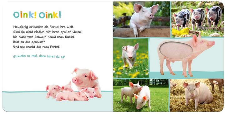Actual product image Listen, who could that be? Farm animals (German)