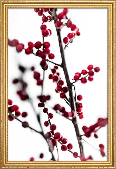 Juniqe Bacche rosse 1 (60 x 90 cm)