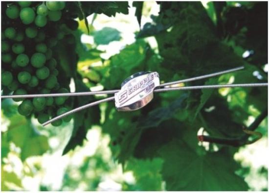 Actual product image Gripple Plus wire connector for wire ø 3.25 - 4.2 mm