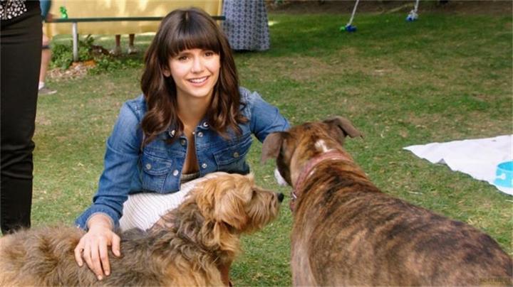 Image du produit Plaion Dog Days - Un coeur, un chien, une fin heureuse! (Blu-ray, 2019, Allemand)