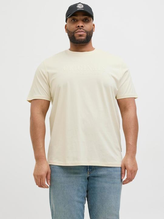 Actual product image Jack & Jones Plus Size Gedruckt T-shirt T-shirt (7XL)