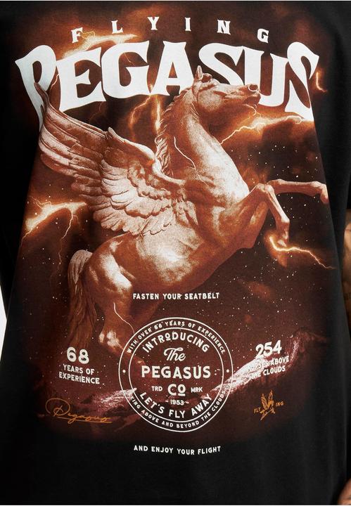 Image du produit MT Tee-shirt oversize Pegasus (L)
