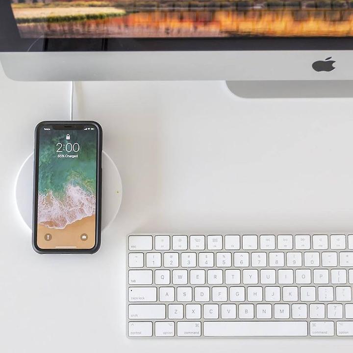 Actual product image Quad Lock Case (Apple iPhone X, Apple iPhone XS)