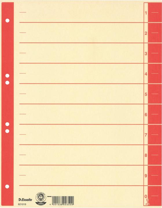 Actual product image Esselte Dividers