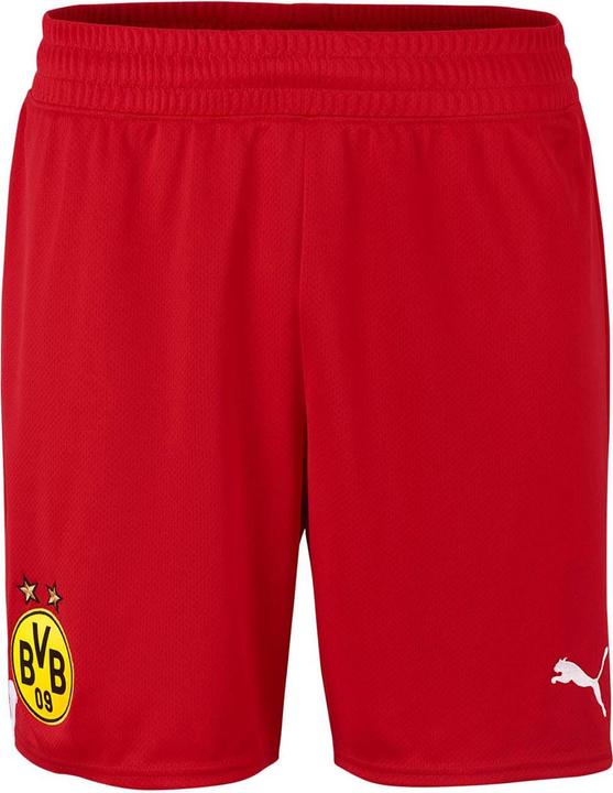 Puma Borussia Dortmund Torwart Shorts - 2022-23 (M)