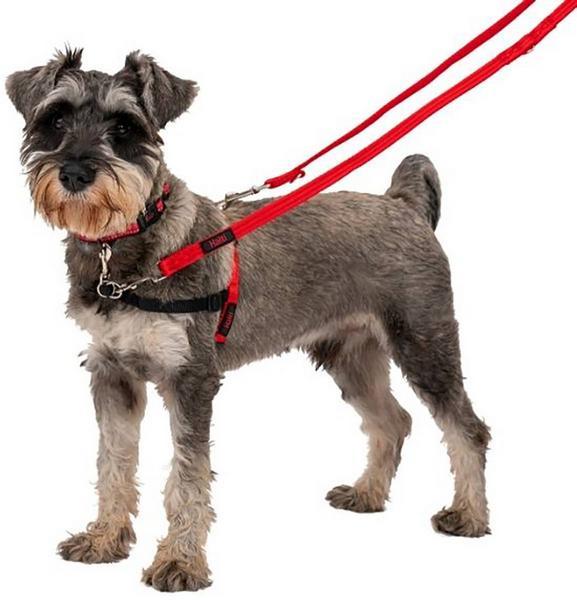 Produktbild Company of Animals Halti Antizug M Front Control (M, Hund, Allgemein)