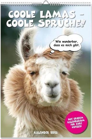 Coole Lamas Posterkalender 2025 (Deutsch)