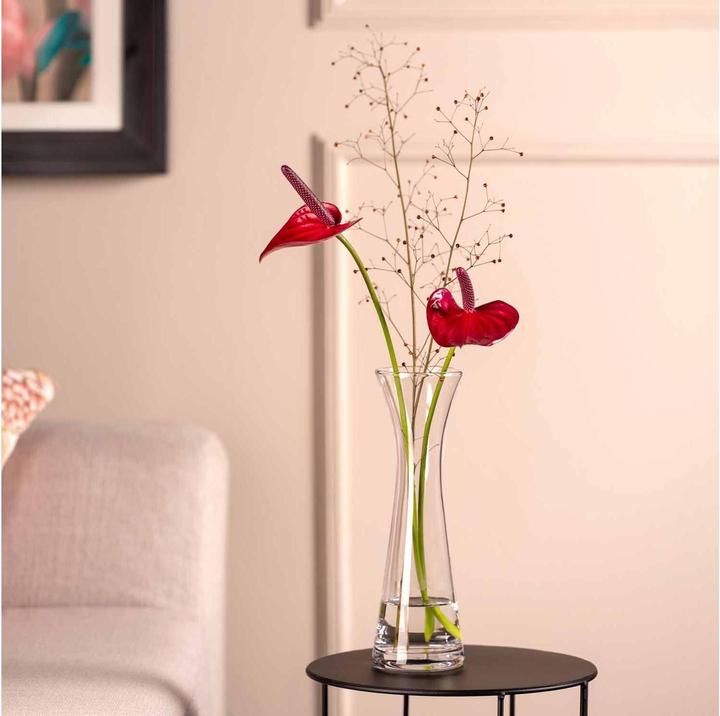 Actual product image Leonardo Vase Gia 26 cm, Transparent (1 x, 26 x 8 x 26 cm, 2146.50 l)