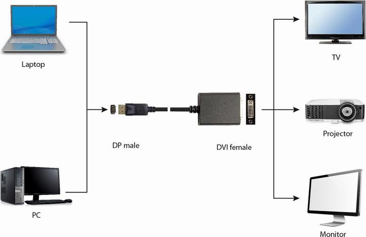 Actual product image Gembird DisplayPort v.1.2 - Dual-Link DVI (DVI, 10 cm)