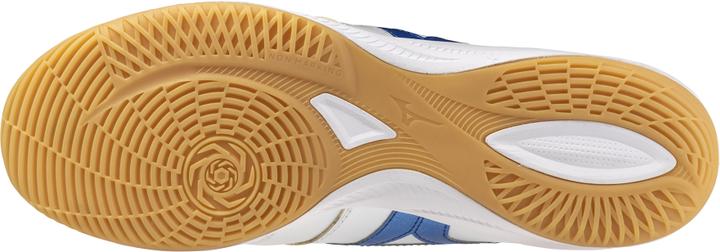 Produktbild Mizuno Morelia Sala Pro In (47)