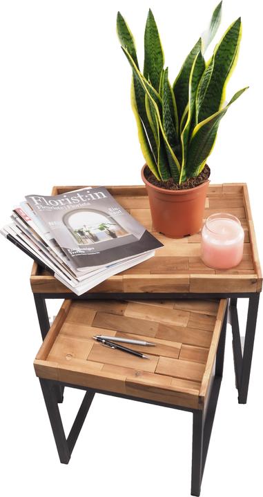 Produktbild Migros Ostschweiz Sanseveria (54 cm)