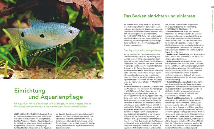 Actual product image Das grosse Praxishandbuch Aquarium (German, Ulrich Schliewen, 2017)