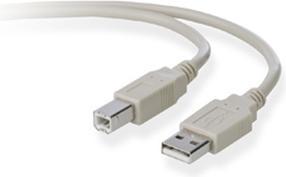 Belkin USB 2.0 (3 m, USB 2.0, 2.50 W)