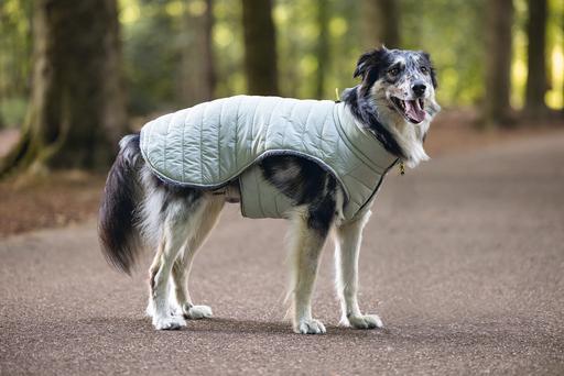 Immagine prodotto Beeztees Bz Cappotto Per Cani Bobby Taupe 52 (52, Cappotto per cani)