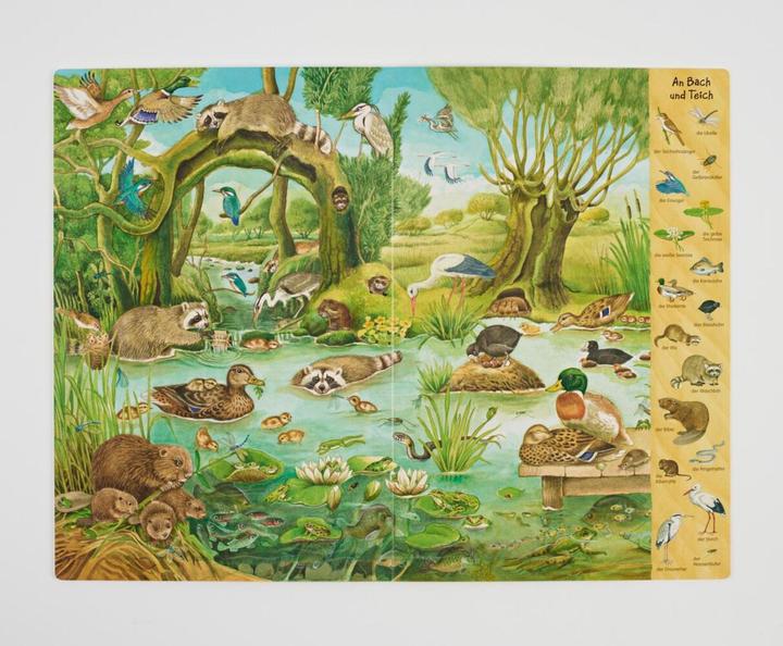 Produktbild Das Riesen-Natur-Wimmelbuch (Deutsch, Christine Henkel, 2018)
