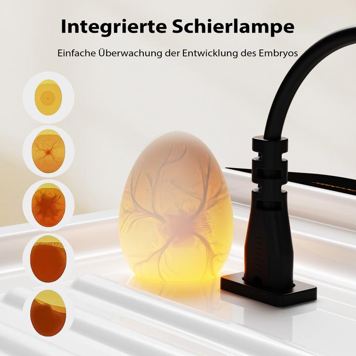 Actual product image Fudajo Egg Incubator for 36 Eggs Machine Hatchery Automatic Turning Chicken
