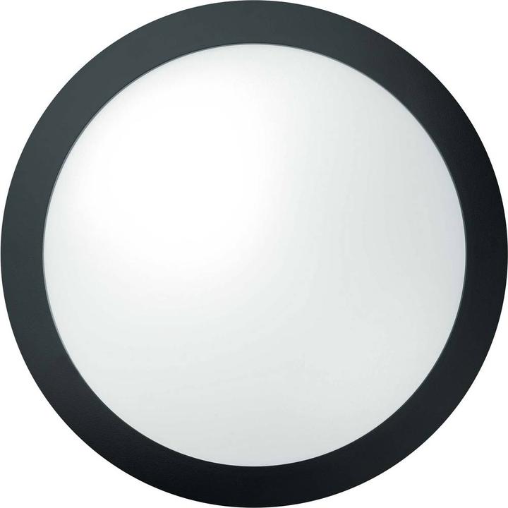 Produktbild Thorneco LED Wandleuchte TOM LED300 # (1201 lm)