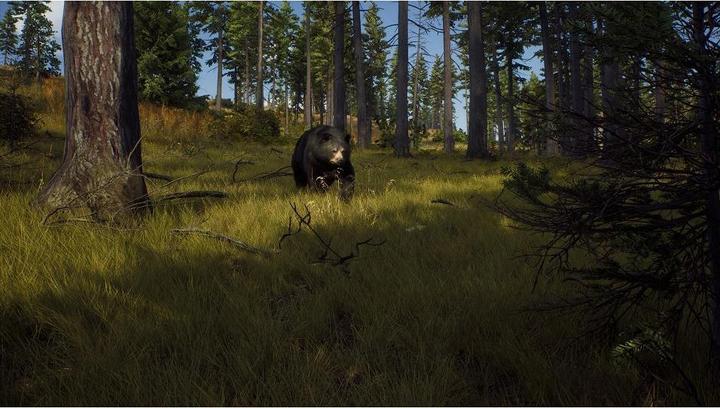 Produktbild THQ Way of the Hunter (PS5, DE)