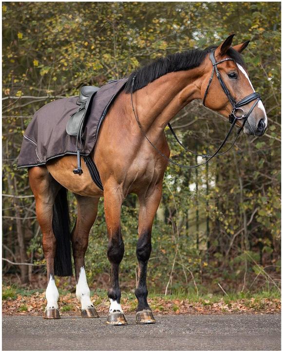 Produktbild Qhp Ausreitdecke Turnout Collection Fleece
