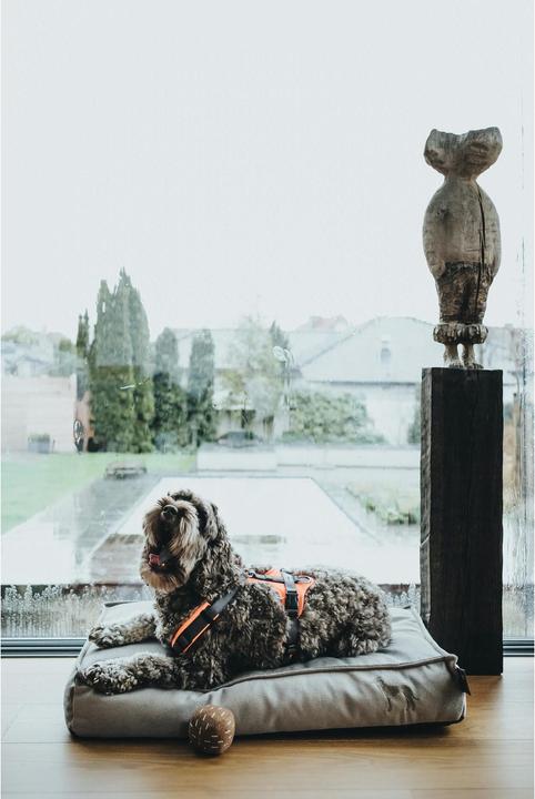 Image du produit Hunter Vaisselle Maldon (S, M, Chien, Général)