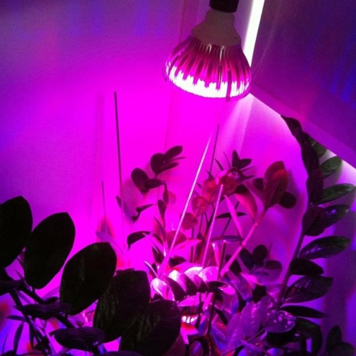 Image du produit Vled Ampoule (LED, 230 V)