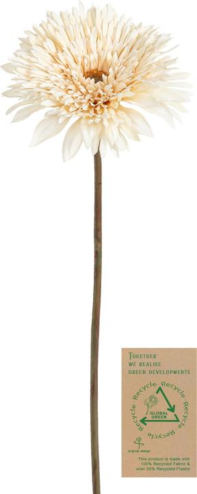 Botanic-Haus Artificial gerbera flower, ivory, 63 cm (63 cm)