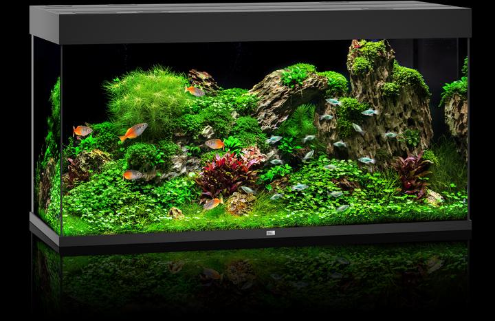 Image du produit Juwel Aquarium Rio (350 l)