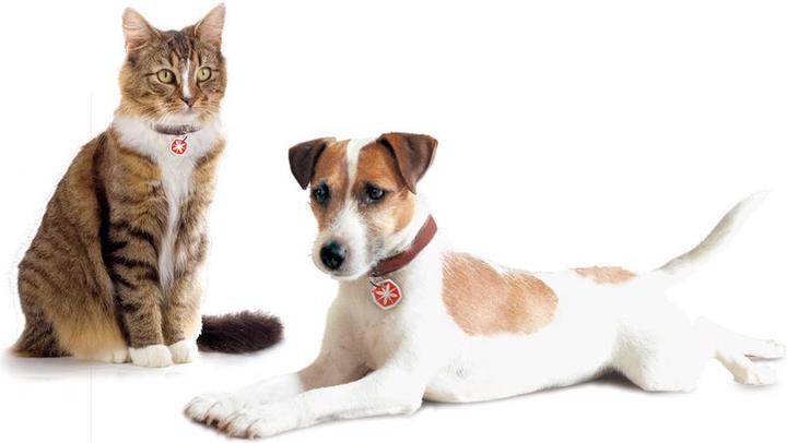 Anibio Tic-Clip (Chien, Chat)