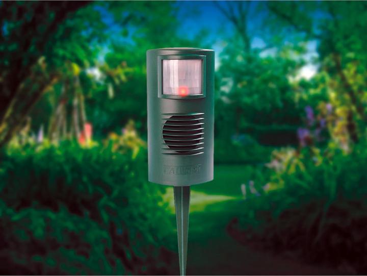 Produktbild Colibri Catwatch