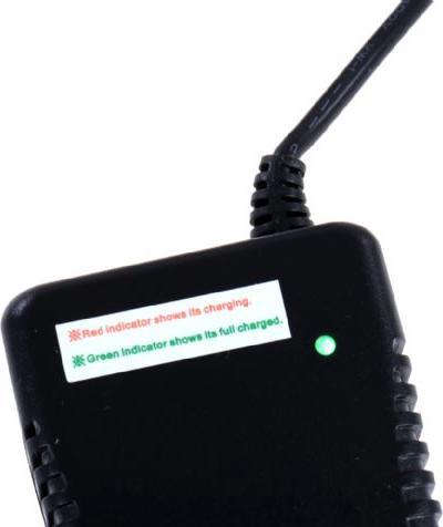 Actual product image Falcon Eyes Battery BA2-1560-S2 + battery charger CHG-S2 for Satel Two (1 pcs., Battery + charger)