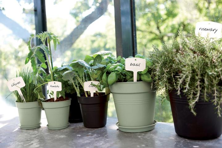 Image du produit Elho Green Basics