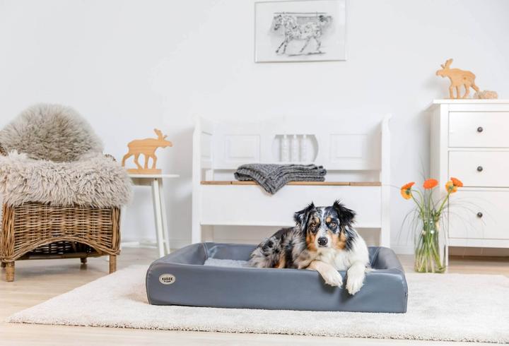 Produktbild Sabro Kudde (Hund)
