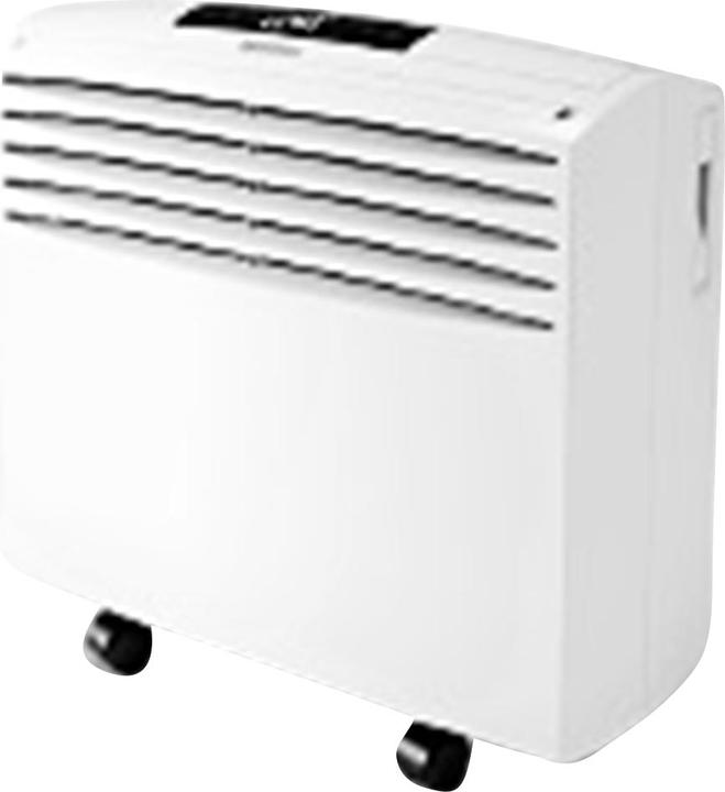 Olimpia Splendid Dolceclima Easy 10 P (8189.14 BTU/h)