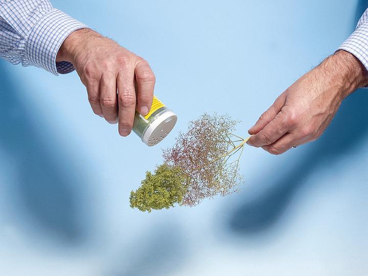 Actual product image Noch Tree blanks