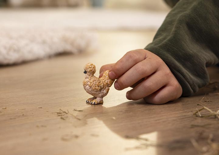 Actual product image Schleich Crake