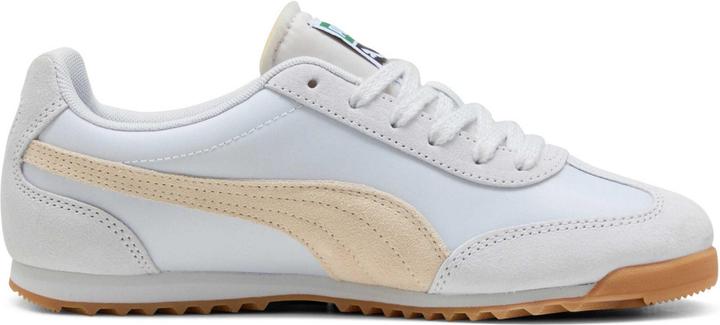 Immagine prodotto Puma Nylon dell'Arizona (40)