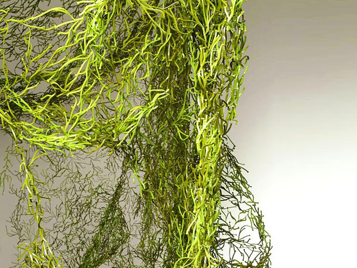Produktbild Vitra Algue