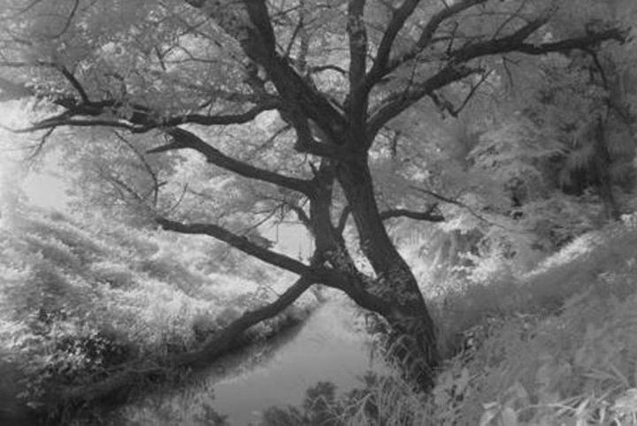 Image du produit Hoya R72 Infrarot Filter (82 mm, Filtre de transmission infrarouge)