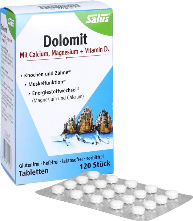 Actual product image Salus Dolomite Magnesium Calcium Vitamin D3 Tabl (120 Piece, Pills, 113 g)