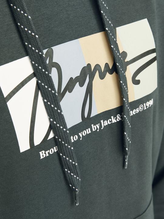Produktbild Jack & Jones Jorportland Block Sweat Hood Ln (S)