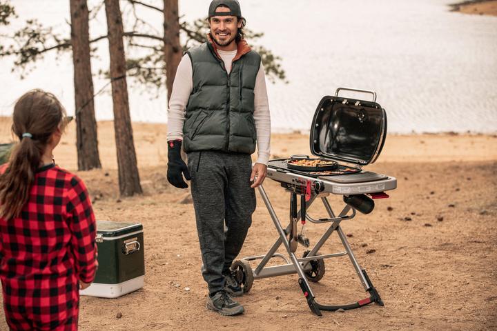 Produktbild Weber Traveler (3.80 kW)