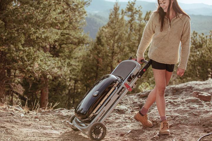 Produktbild Weber Traveler (3.80 kW)