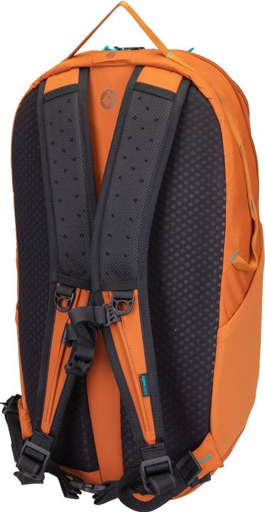 Actual product image Pacsafe Eco (25 l)