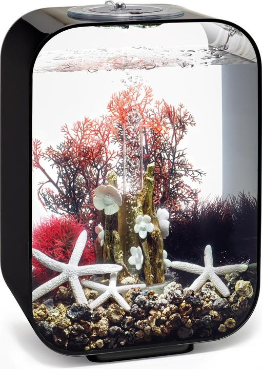 Image du produit Oase BiOrb Aquarium 15 Set décoratif (Décoration, autres éléments)