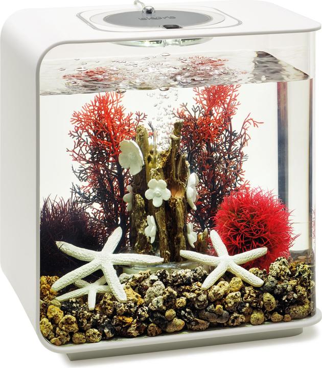Image du produit Oase BiOrb Aquarium 15 Set décoratif (Décoration, autres éléments)