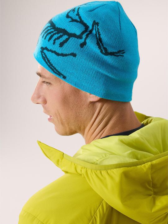 Produktbild Arc'teryx Bird Head Toque (One Size)
